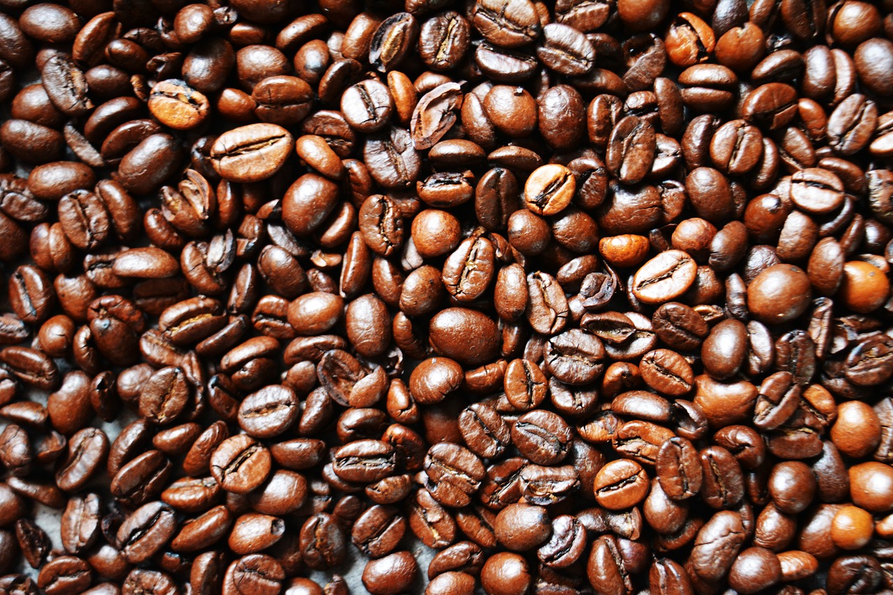 coffee  coffee beans  caffeine free photo