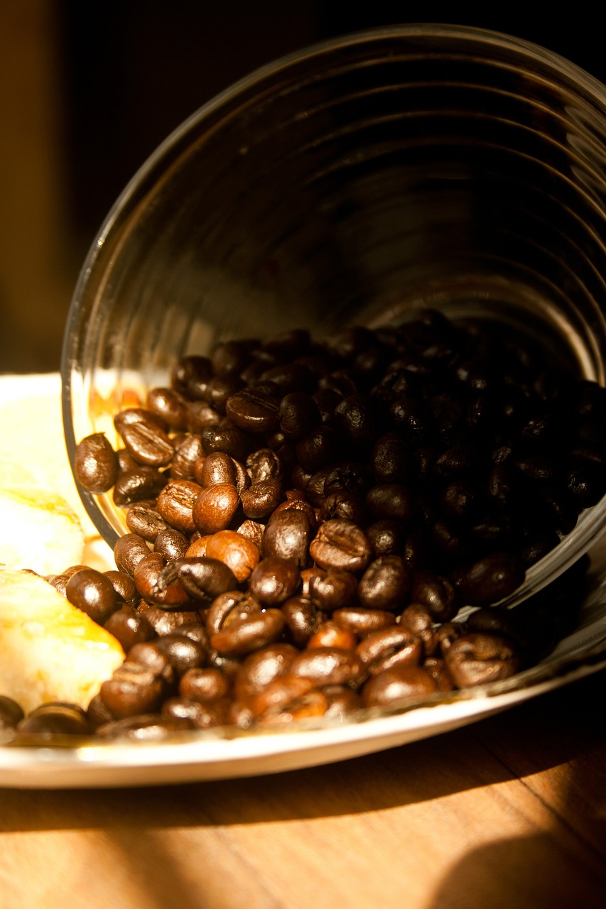 coffee coffee beans roasted free photo