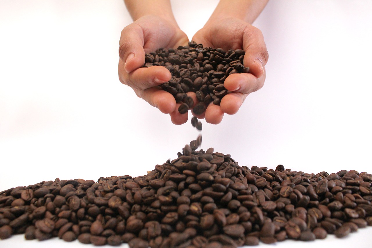 coffee  coffee grains  aroma free photo