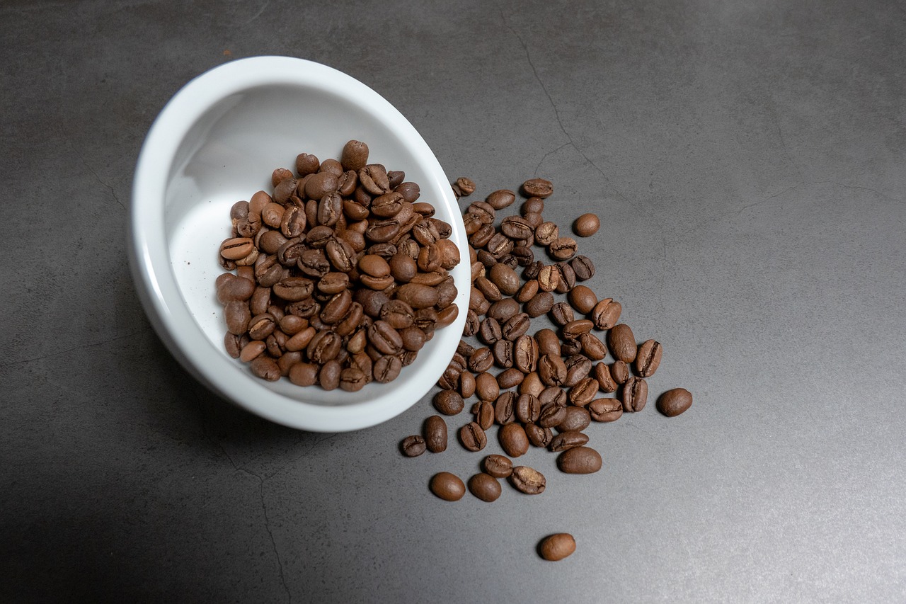 coffee  coffeebean  arabica free photo