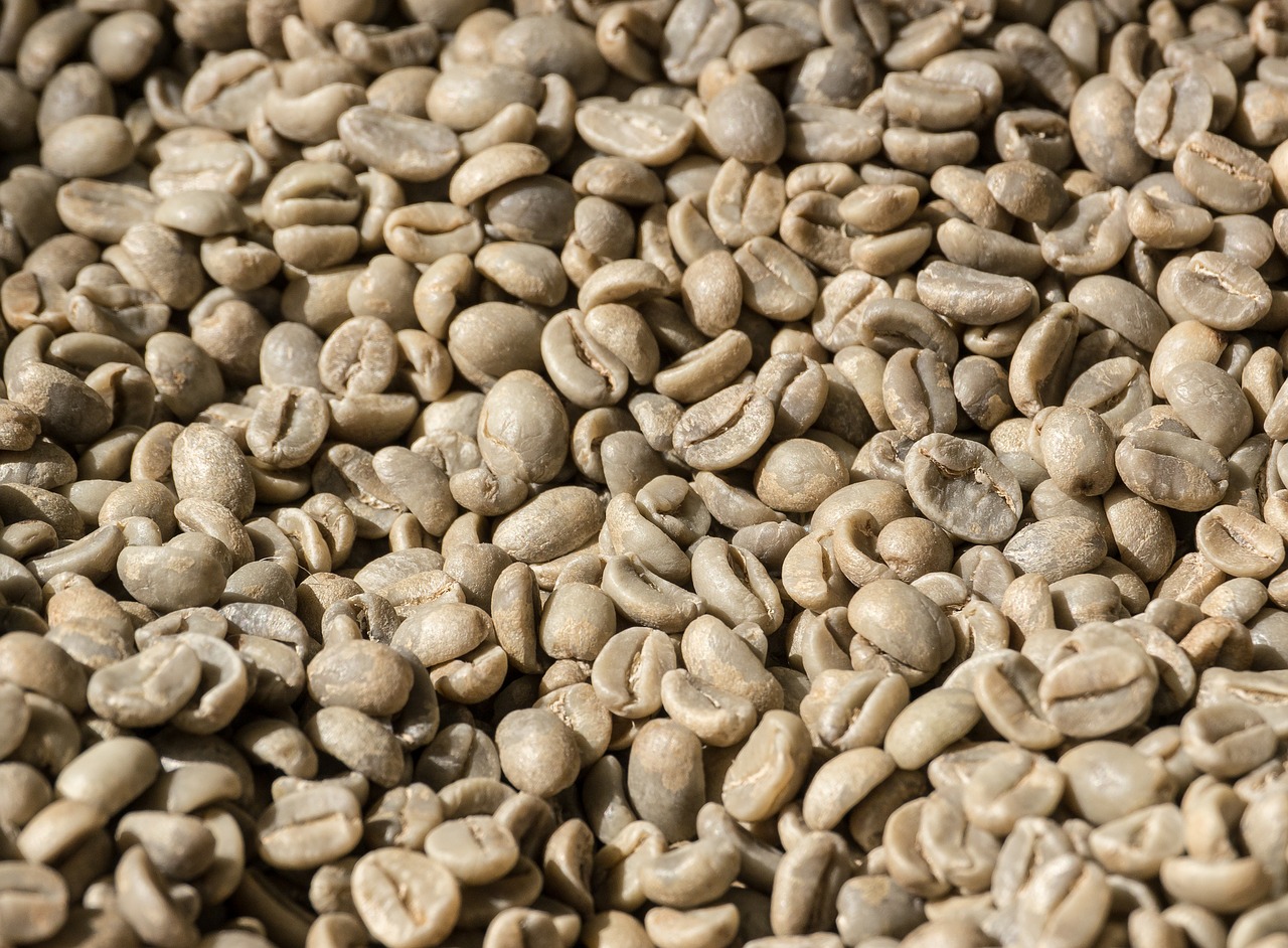 coffee  coffee beans  beans free photo