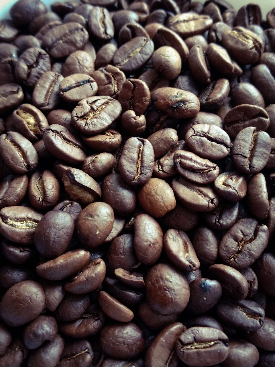 coffee  coffee beans  beans free photo