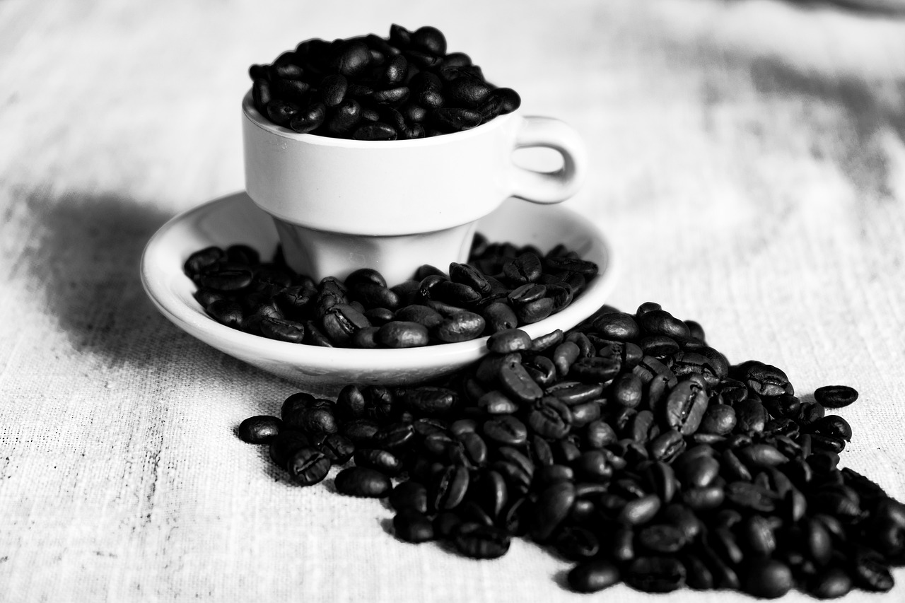 coffee  beans  arabica free photo