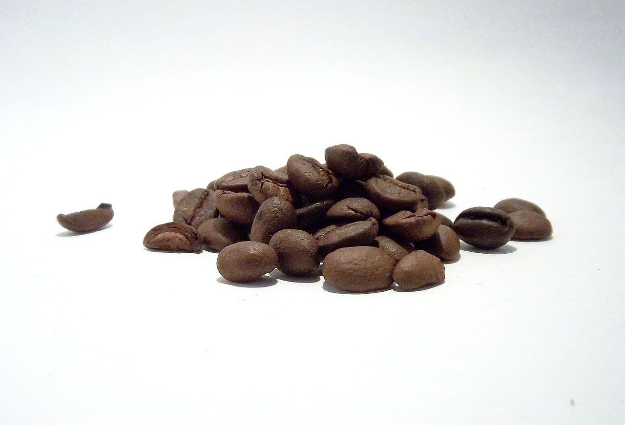 coffee grain coffee beans free photo