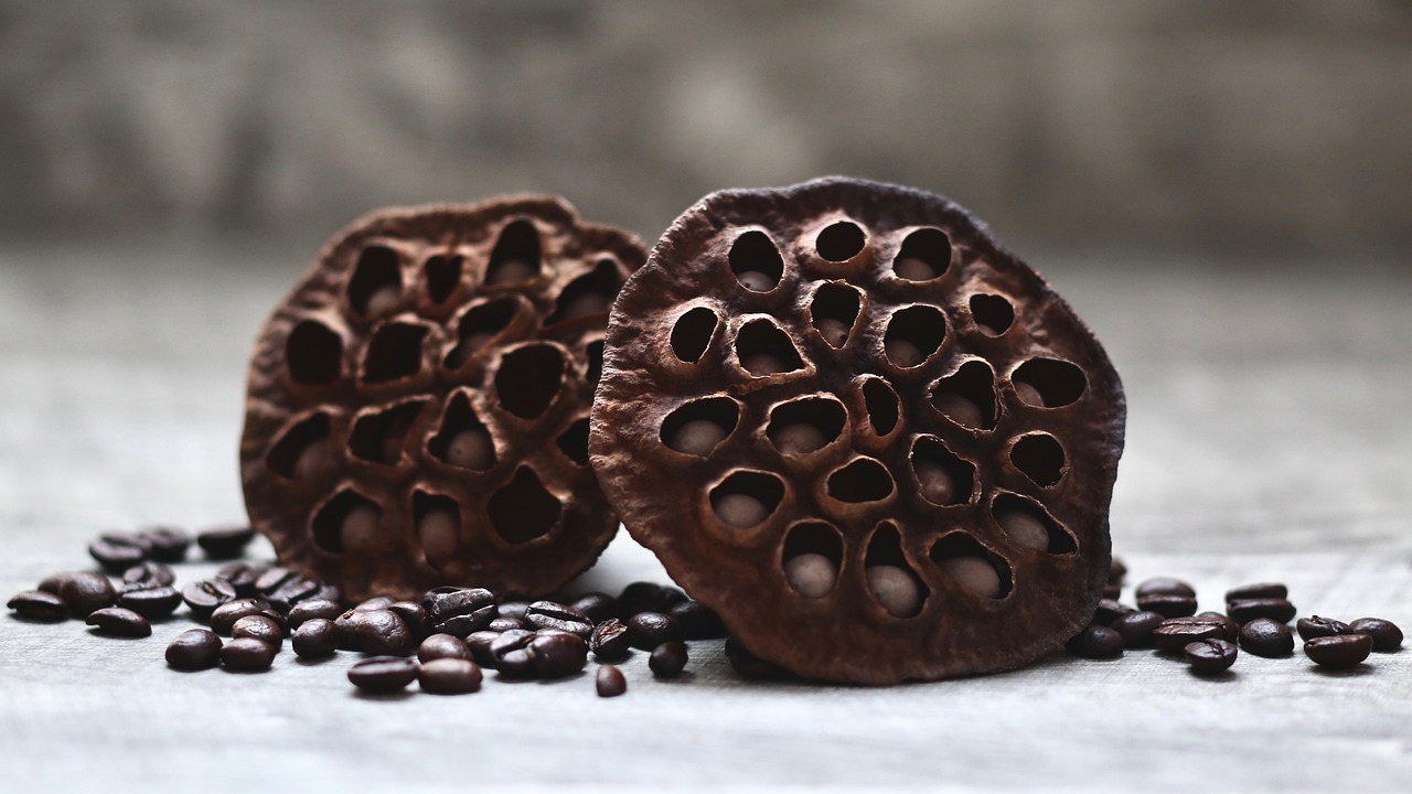 coffee  coffee beans  brown free photo