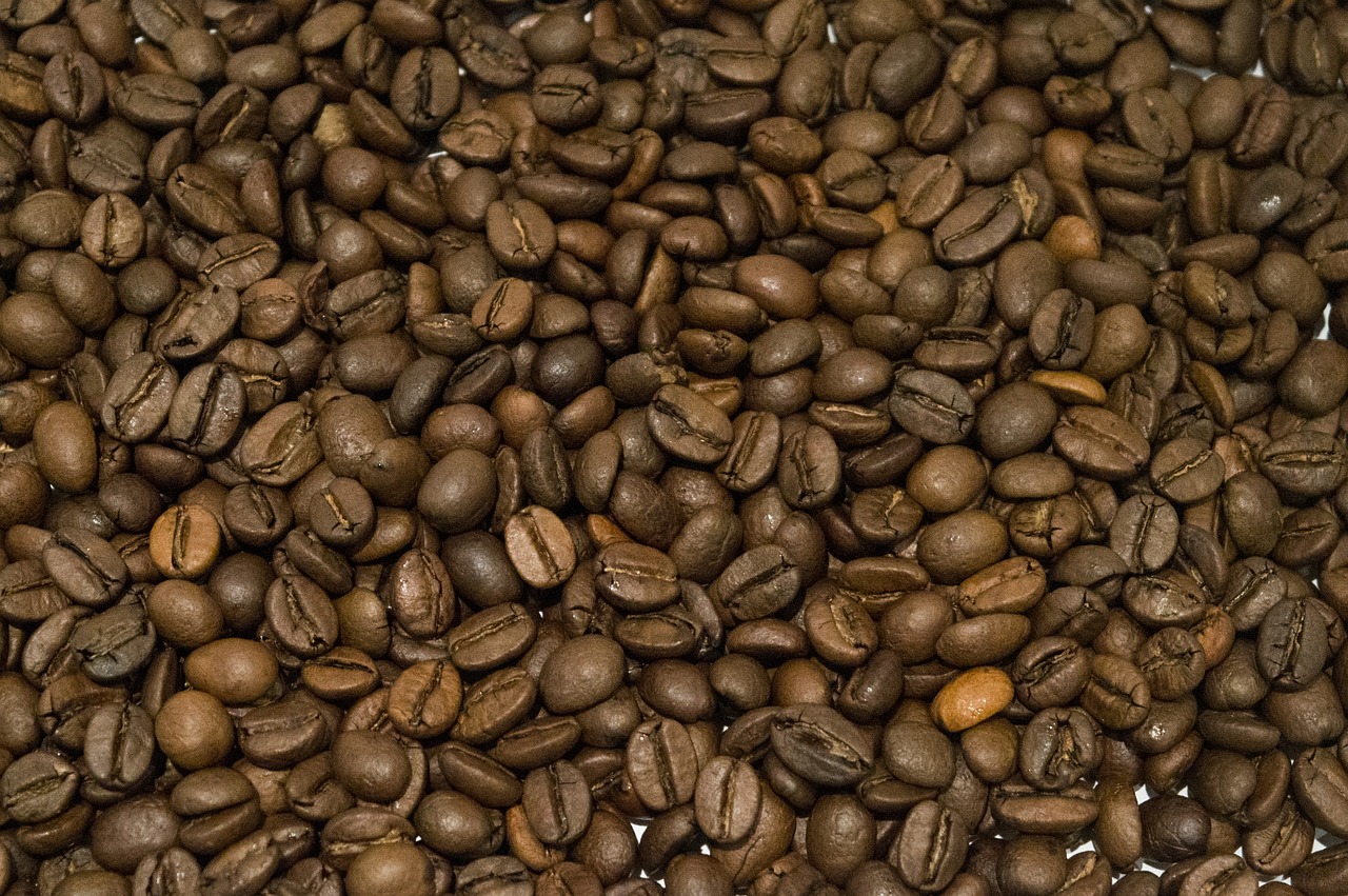 coffee bean brown free photo