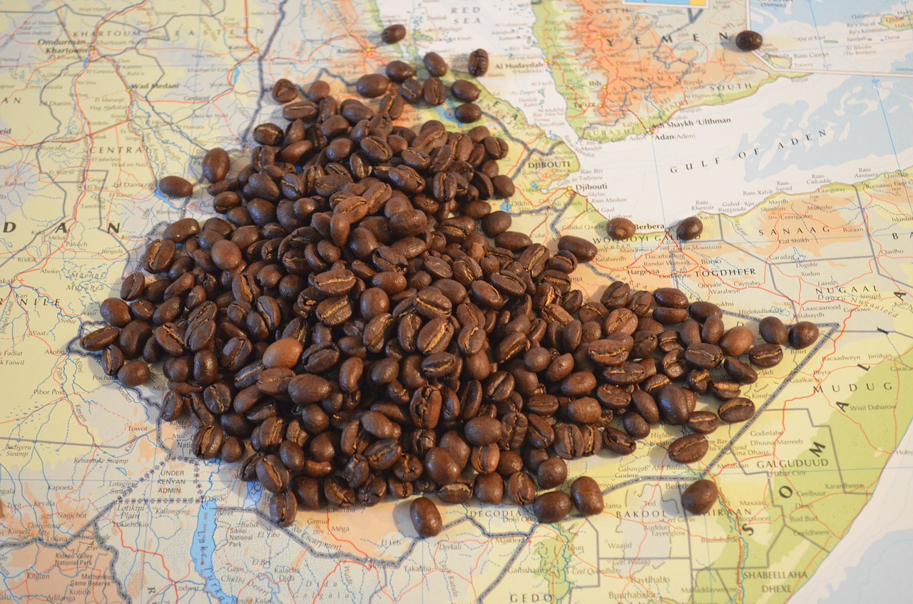 coffee map ethiopia free photo