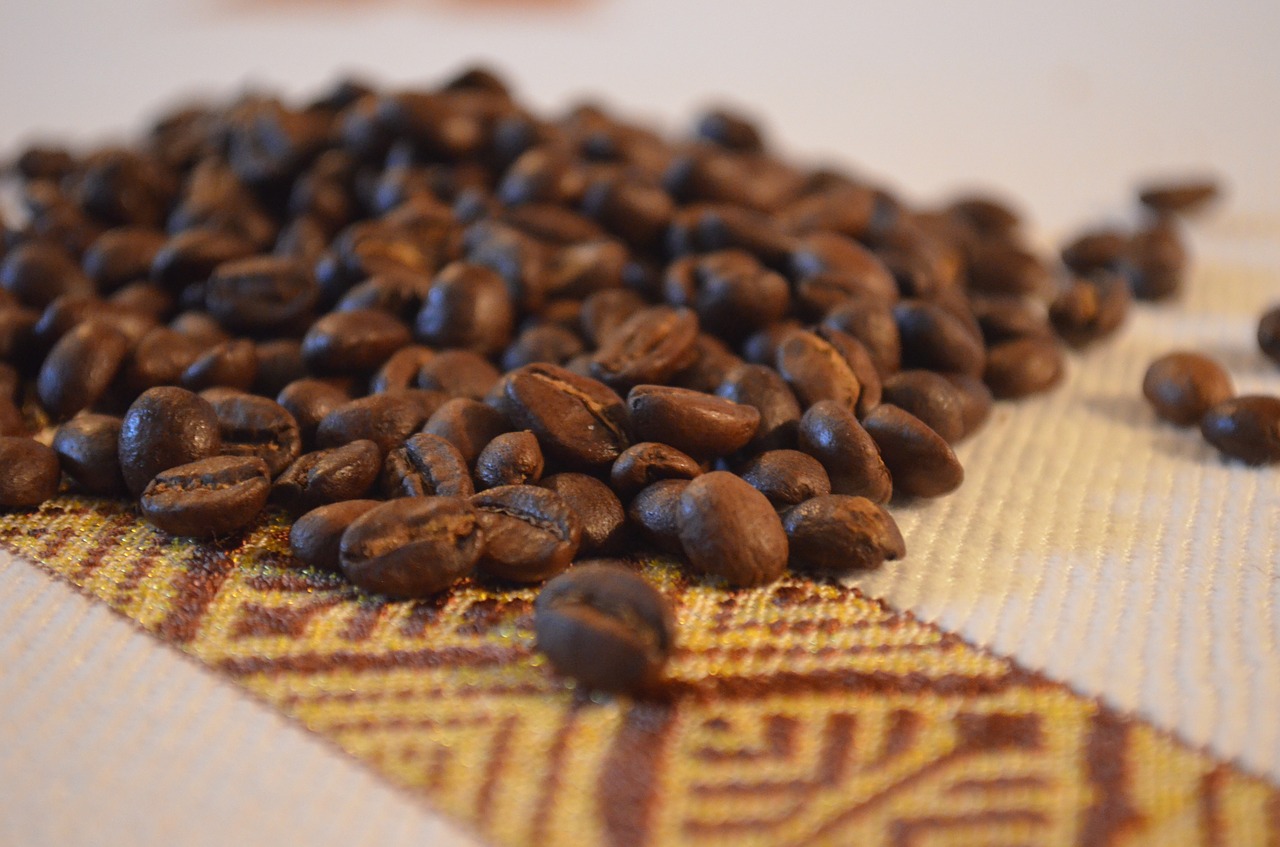 coffee beans ethiopia free photo