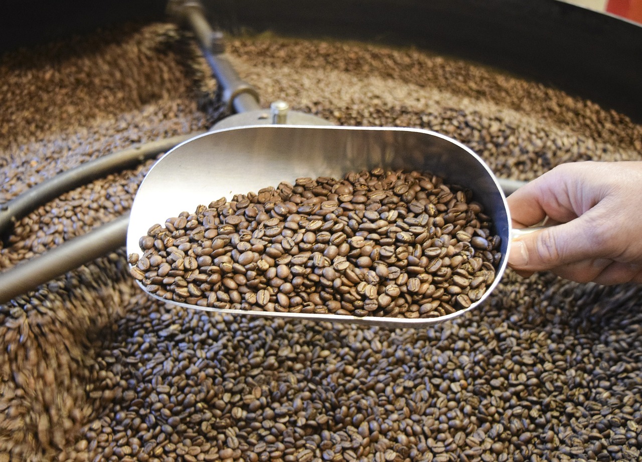 coffee beans espresso free photo