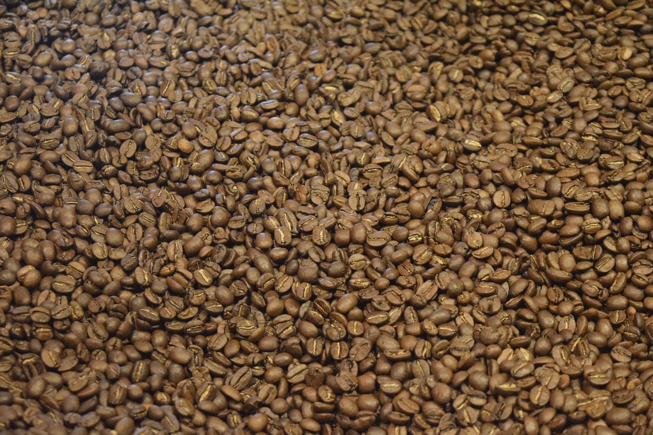 coffee beans espresso free photo