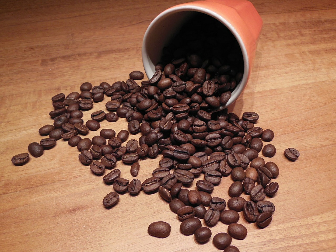 coffee beans cup free photo
