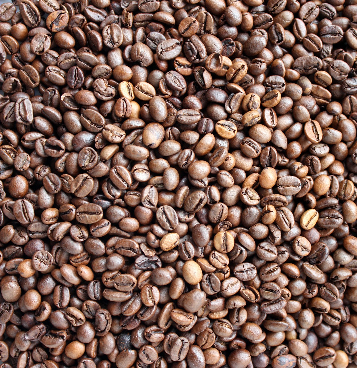 coffee background coffee beans free photo