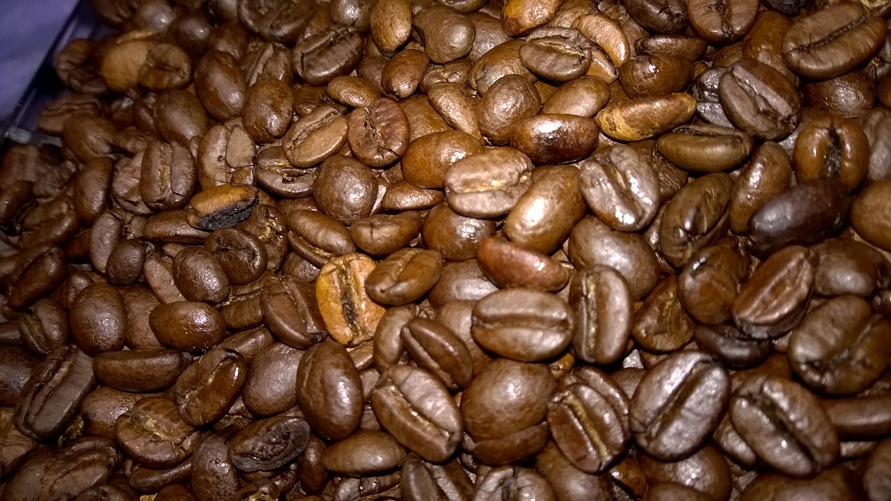 coffee bean coffee beans free photo