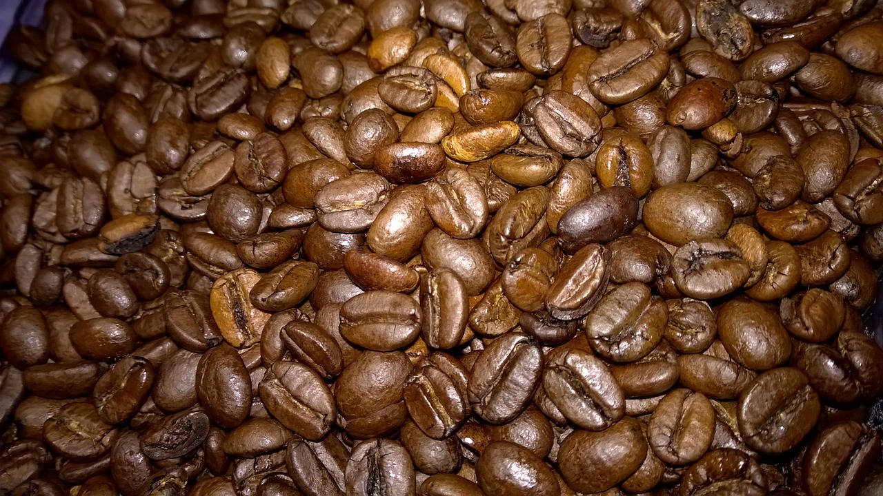 coffee bean coffee beans free photo