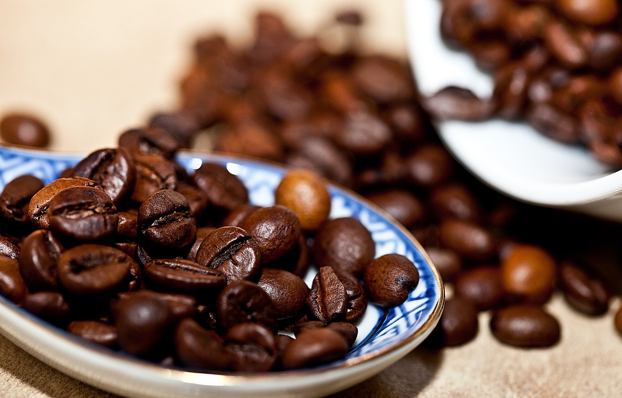 coffee coffee beans grain coffee free photo