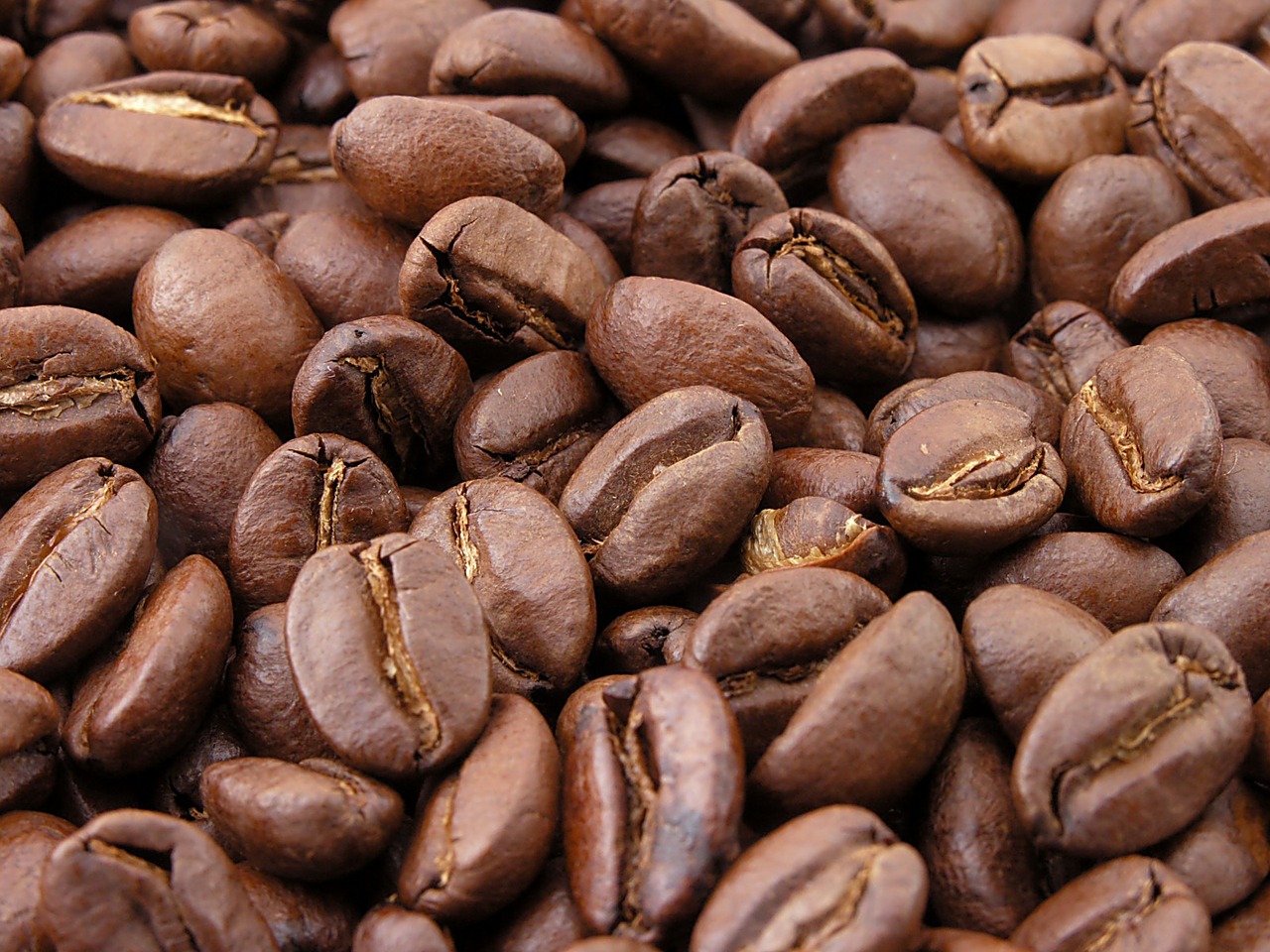 coffee coffee beans roasted free photo