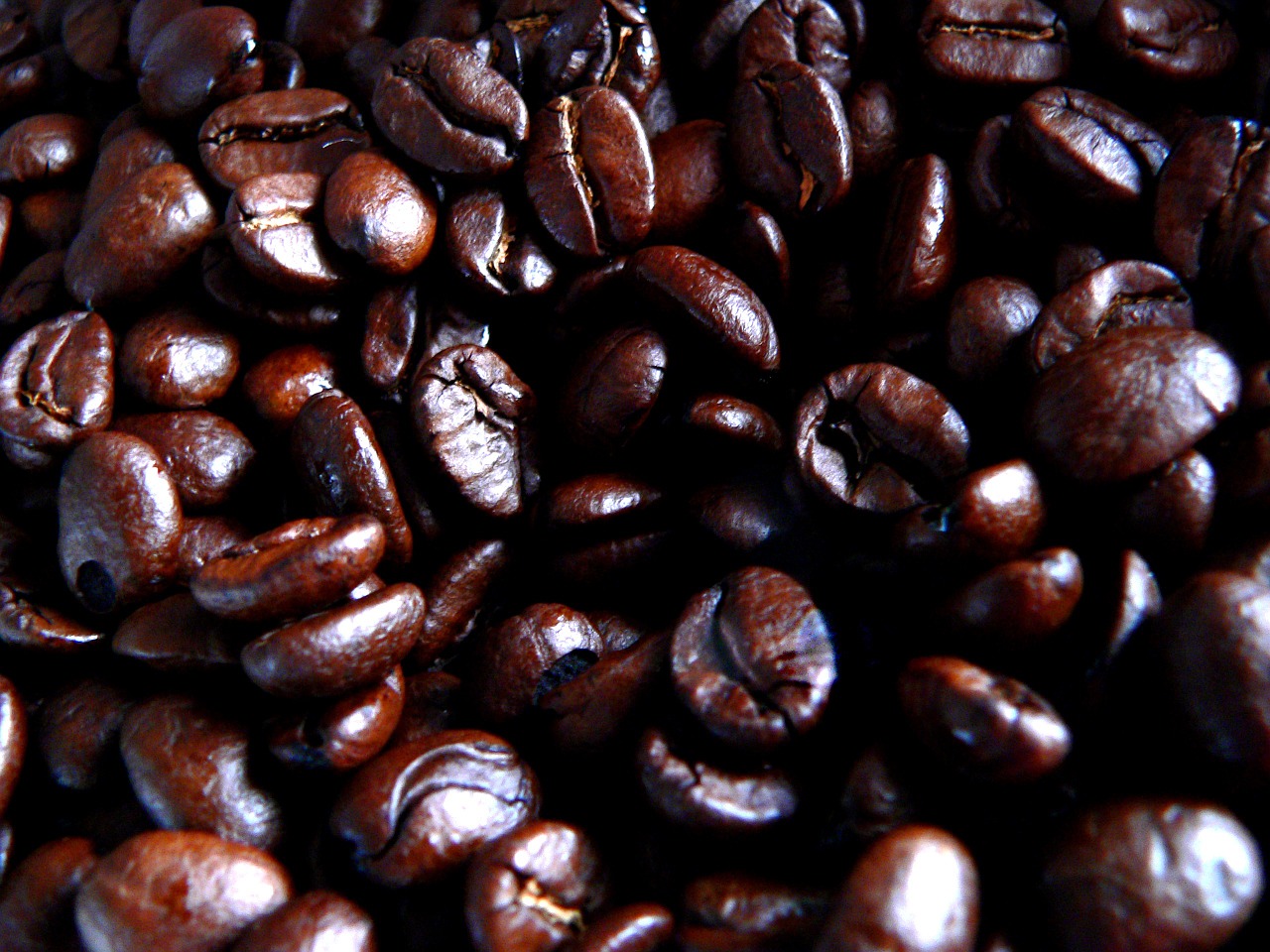 coffee beans roasted free photo