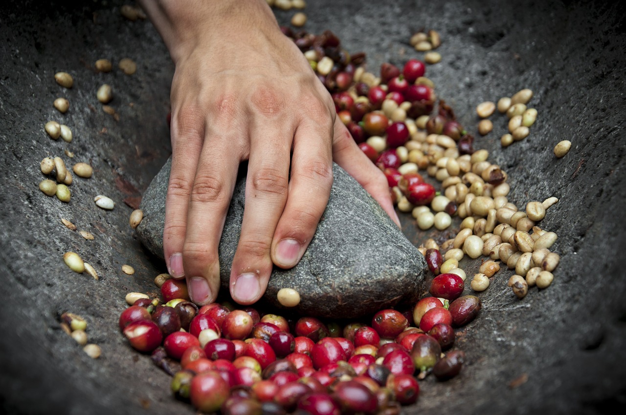 coffee coffee bean grain free photo