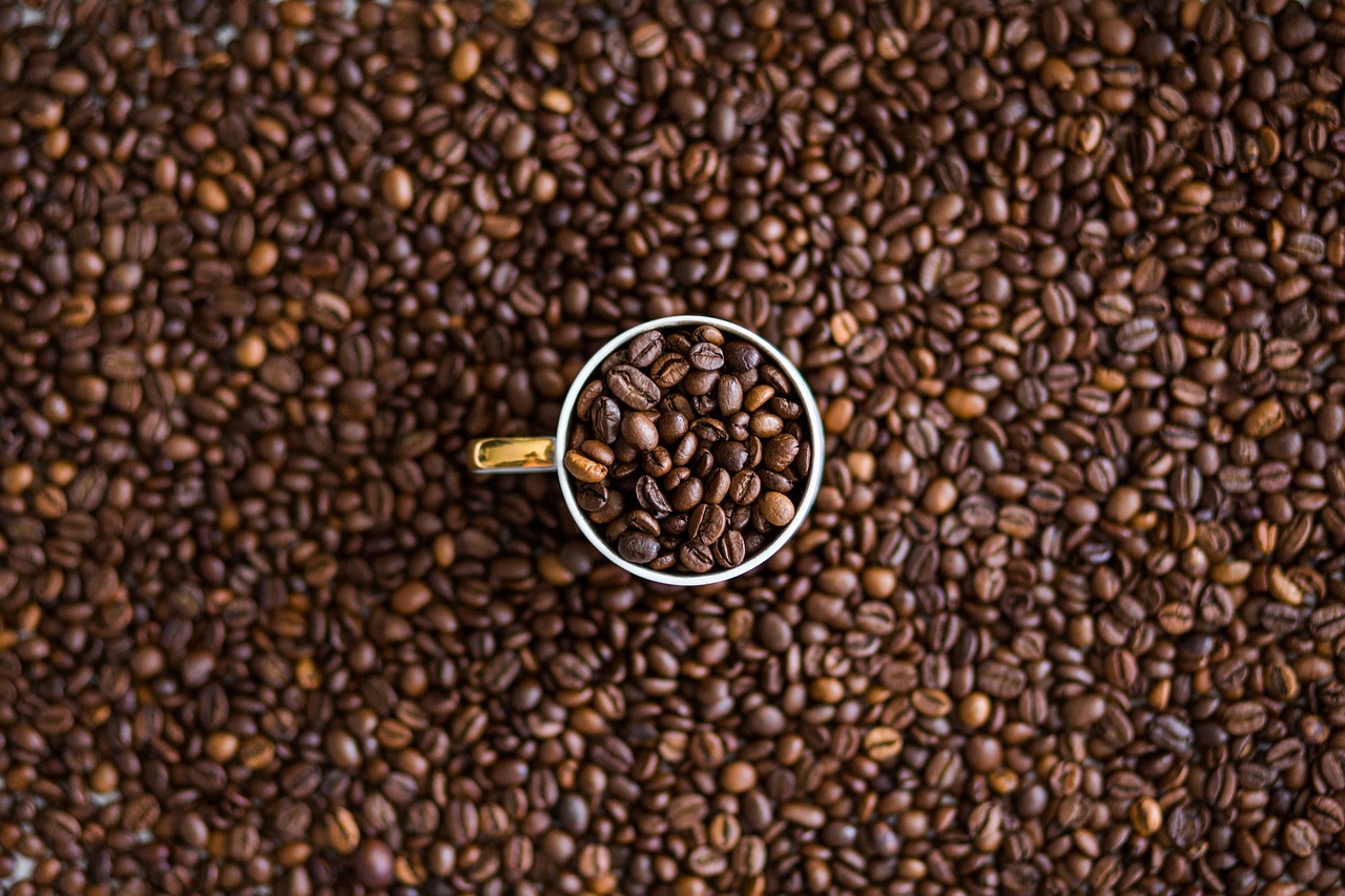 coffee beans coffee beans free photo