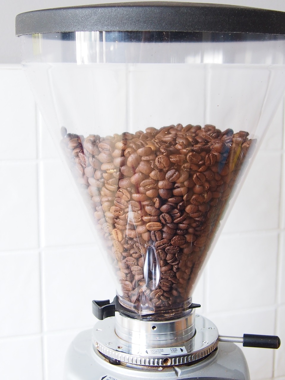 coffee beans arabica free photo