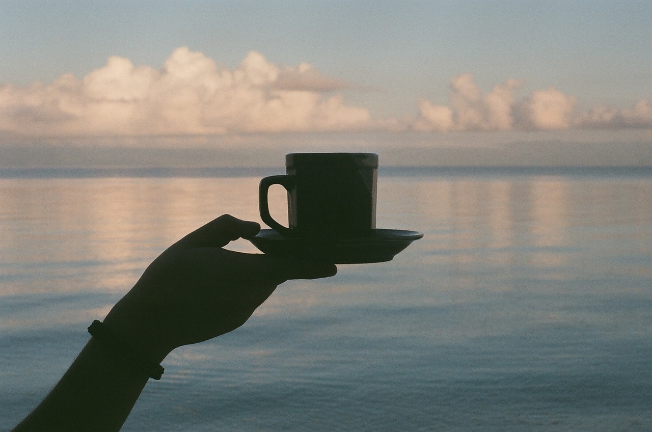 coffee cup lake free photo