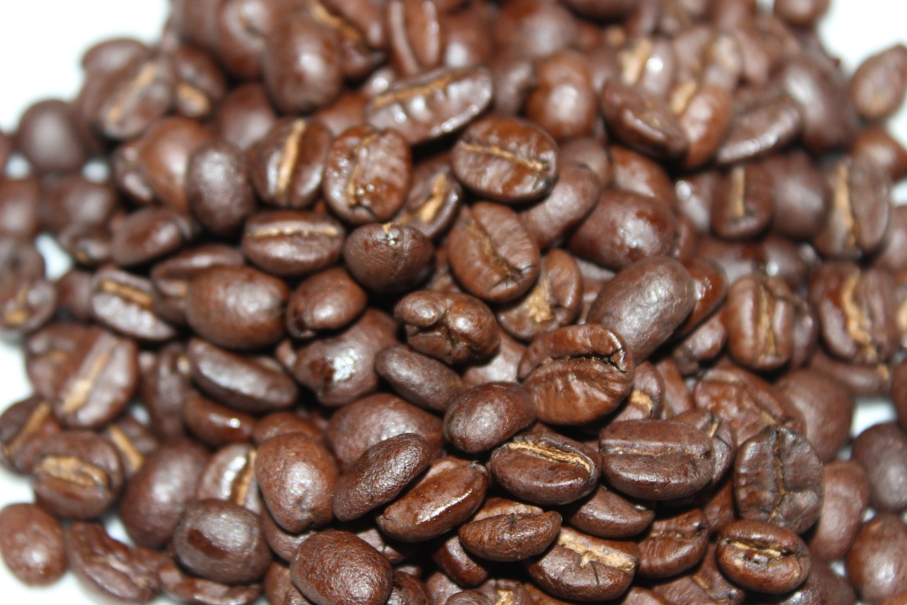 coffee coffee beans b free photo