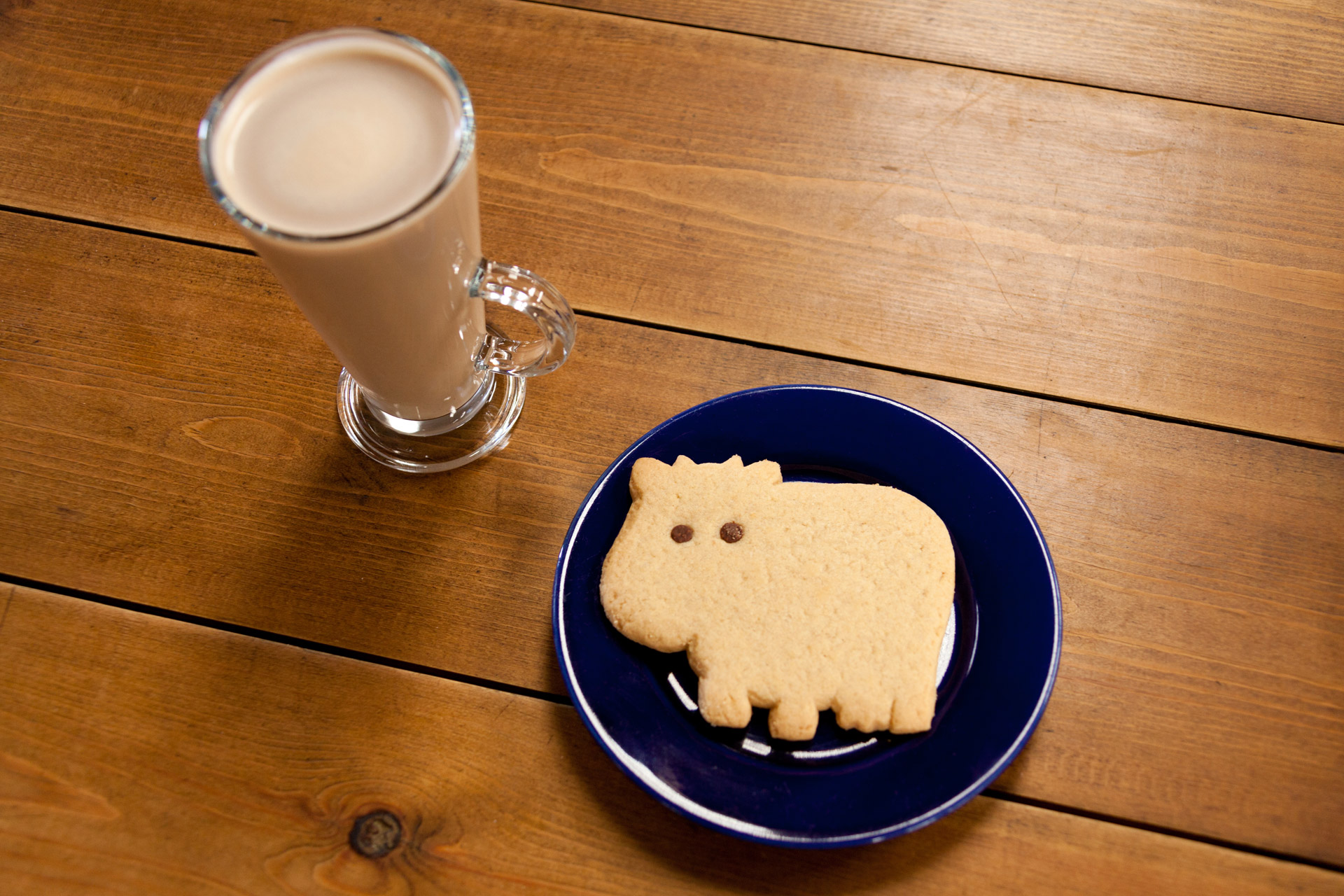 beverage biscuit breakfast free photo