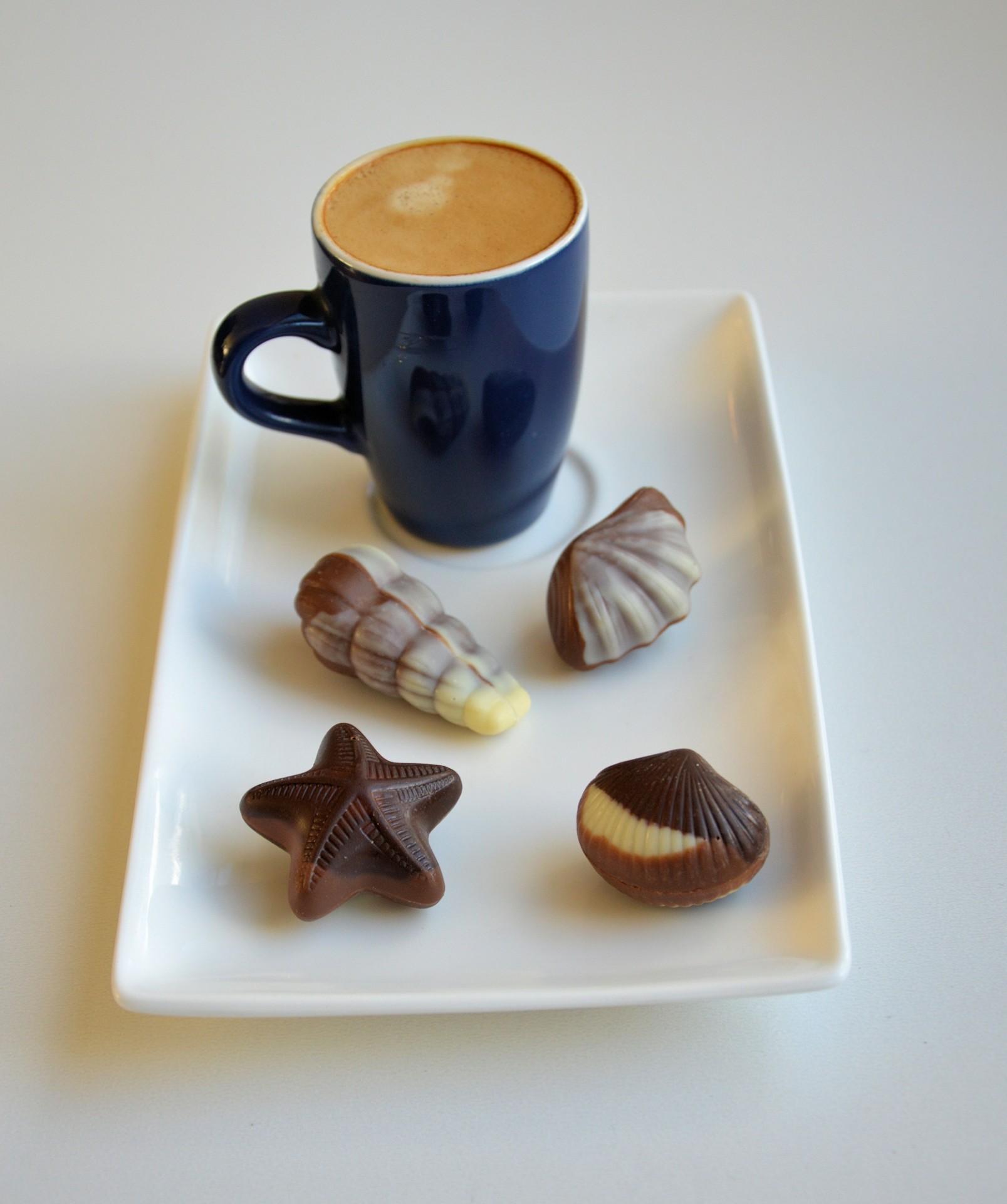 coffee seashells chocolate free photo