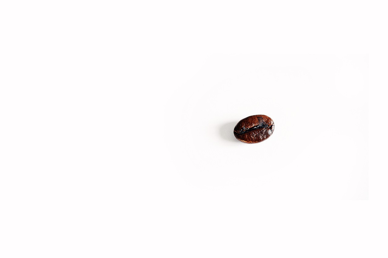 coffee bean  coffee  alone free photo