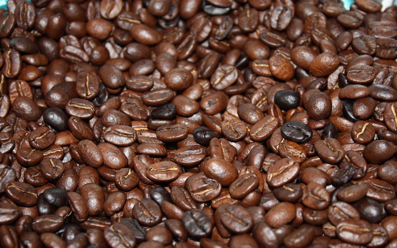 coffee beans brown coffee free photo