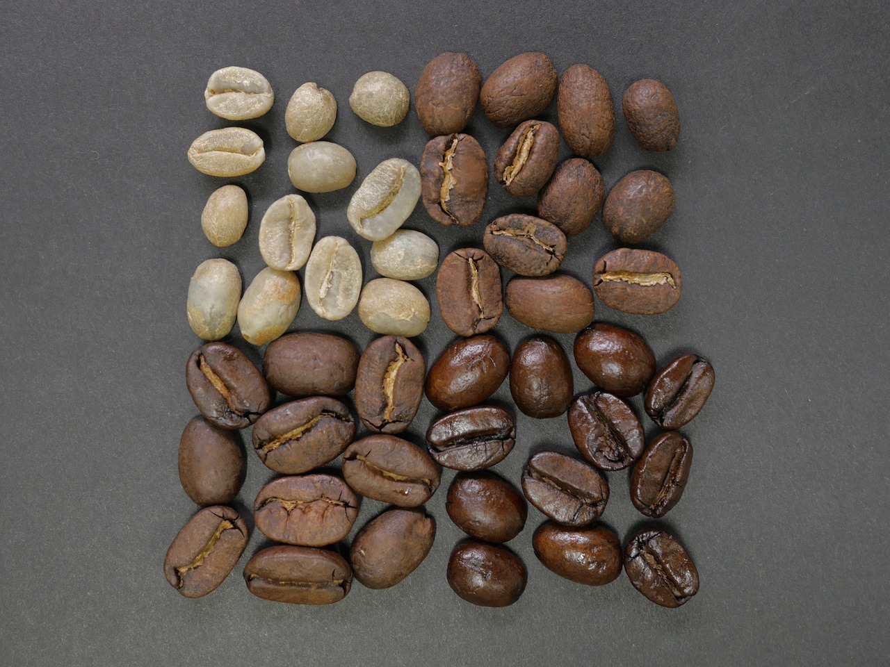 coffee beans square divisions free photo