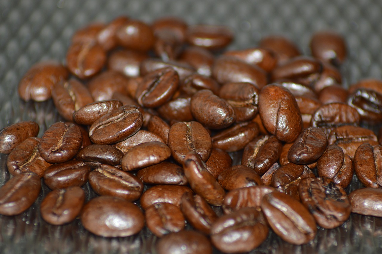 coffee beans macro countertop free photo