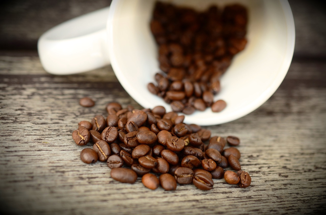 coffee beans cup beans free photo