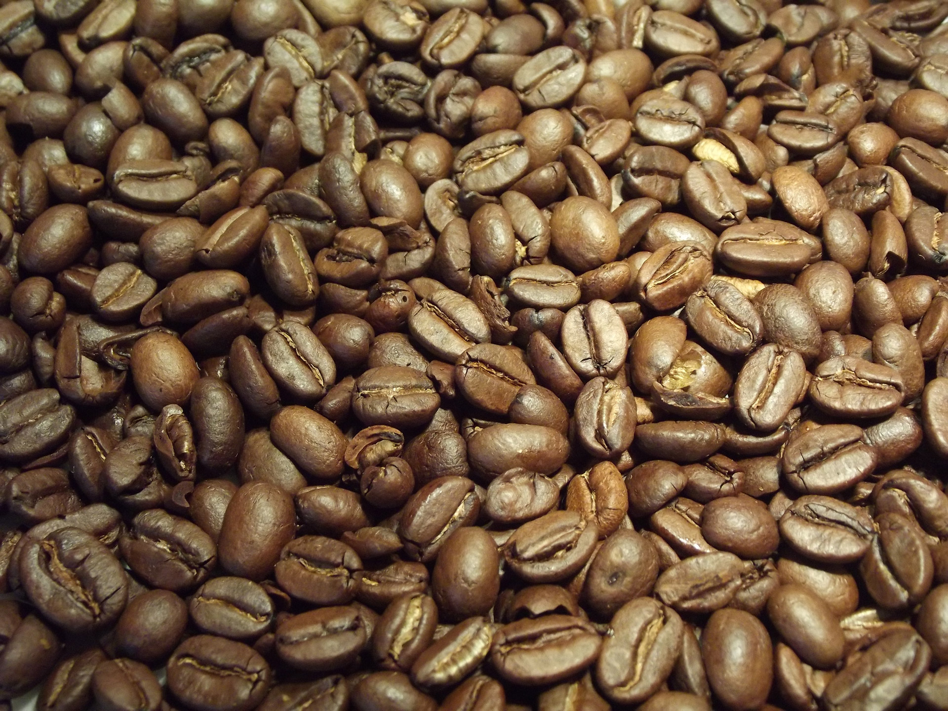 coffee coffee beans beans free photo