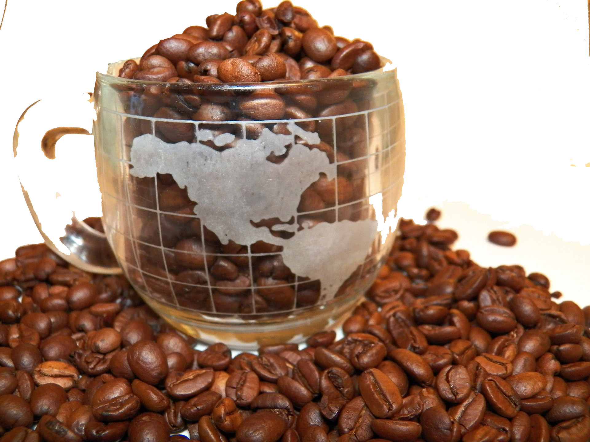coffee coffee beans drink free photo