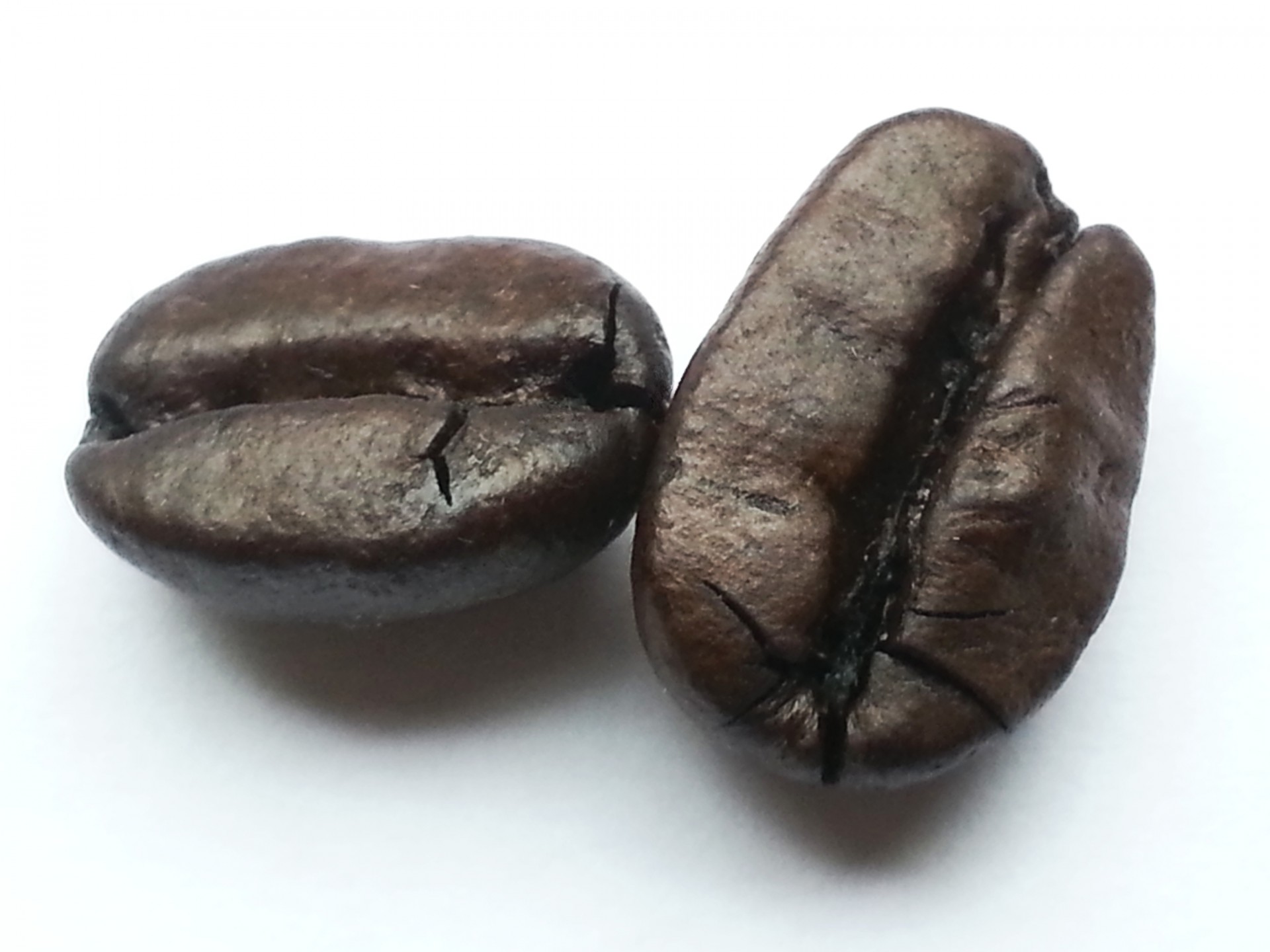 beans coffee beverage free photo