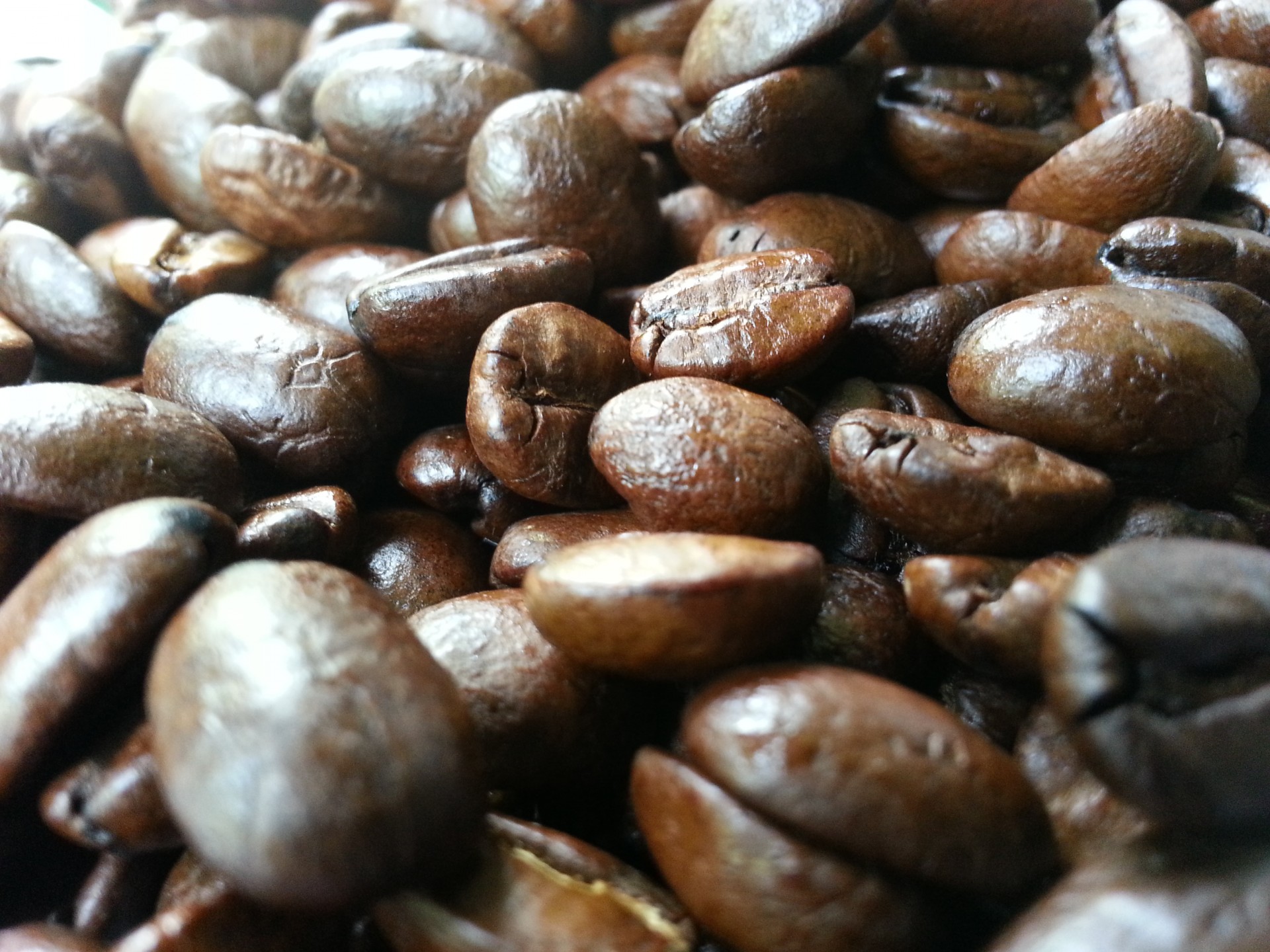 coffee java beans free photo