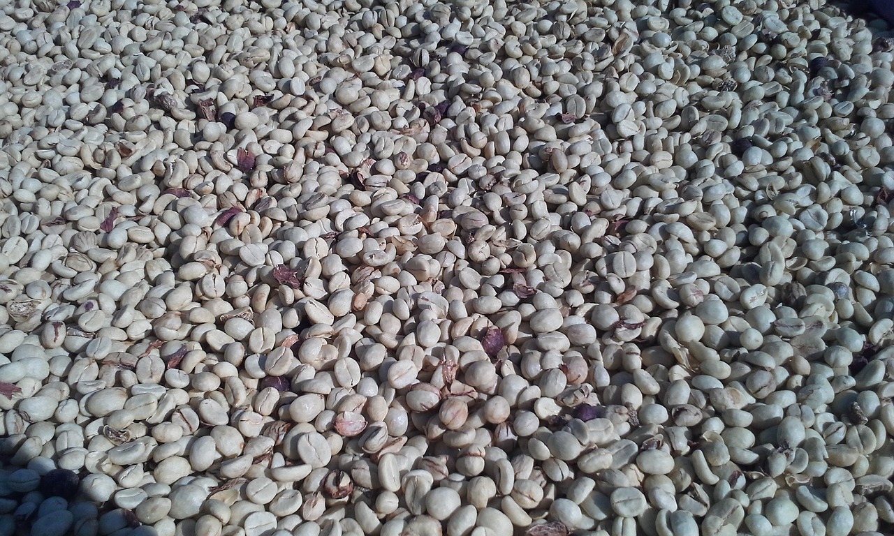 coffee beans coffee beverage free photo