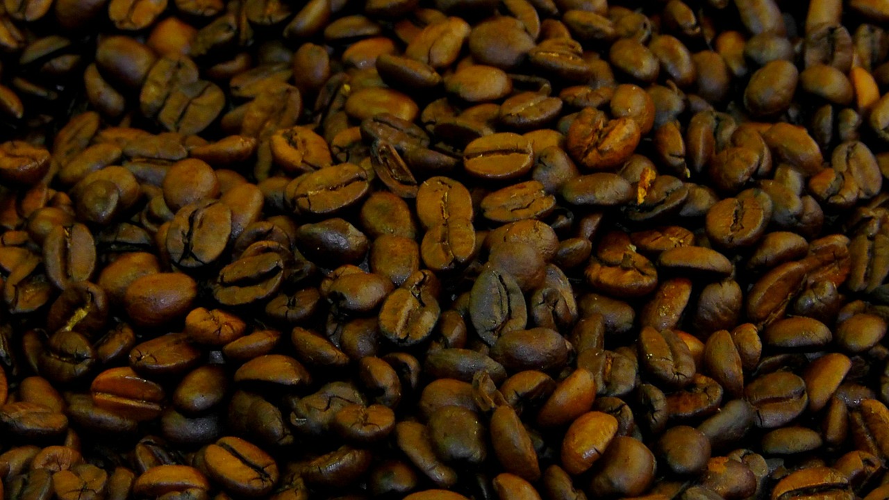 coffee beans coffee brown free photo