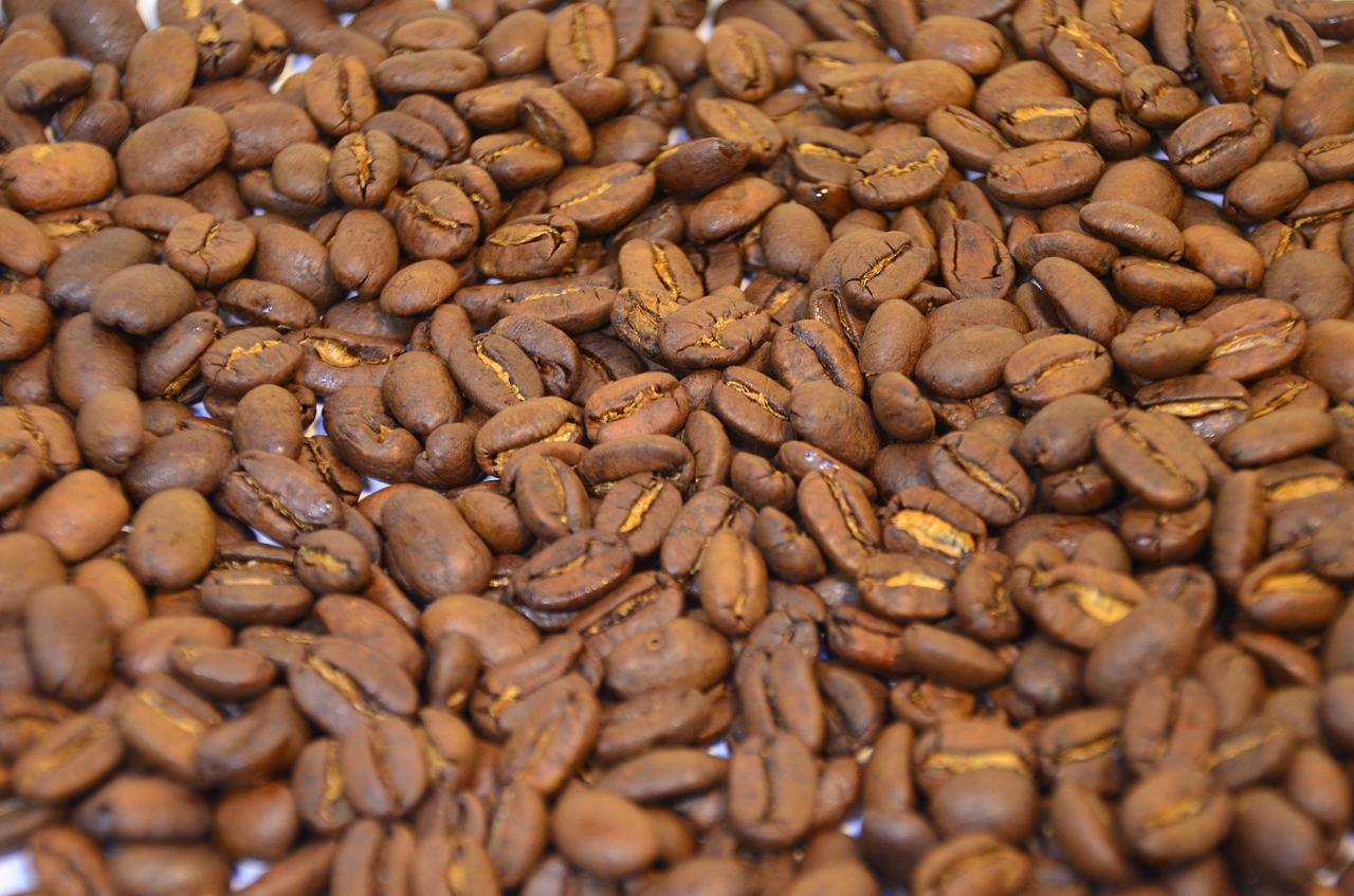 coffee beans background beans free photo
