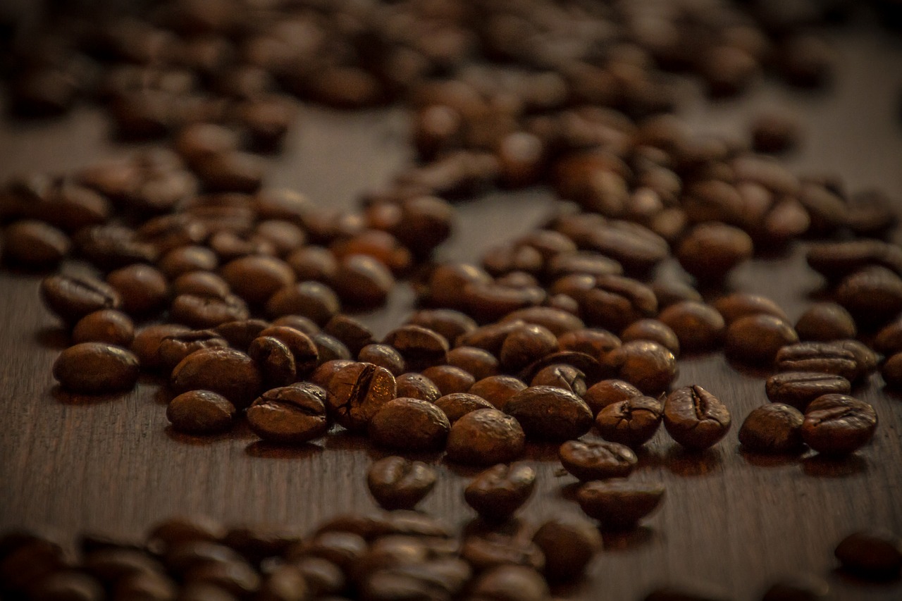 coffee beans coffee beans free photo