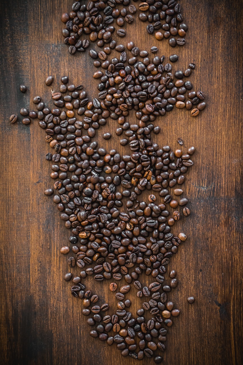 coffee beans coffee beans free photo