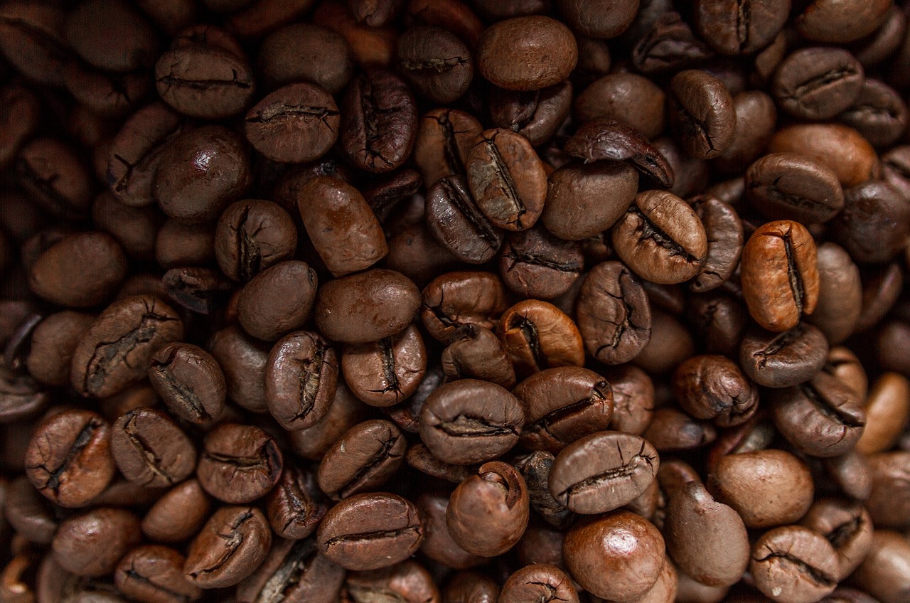 coffee beans roasted brown free photo