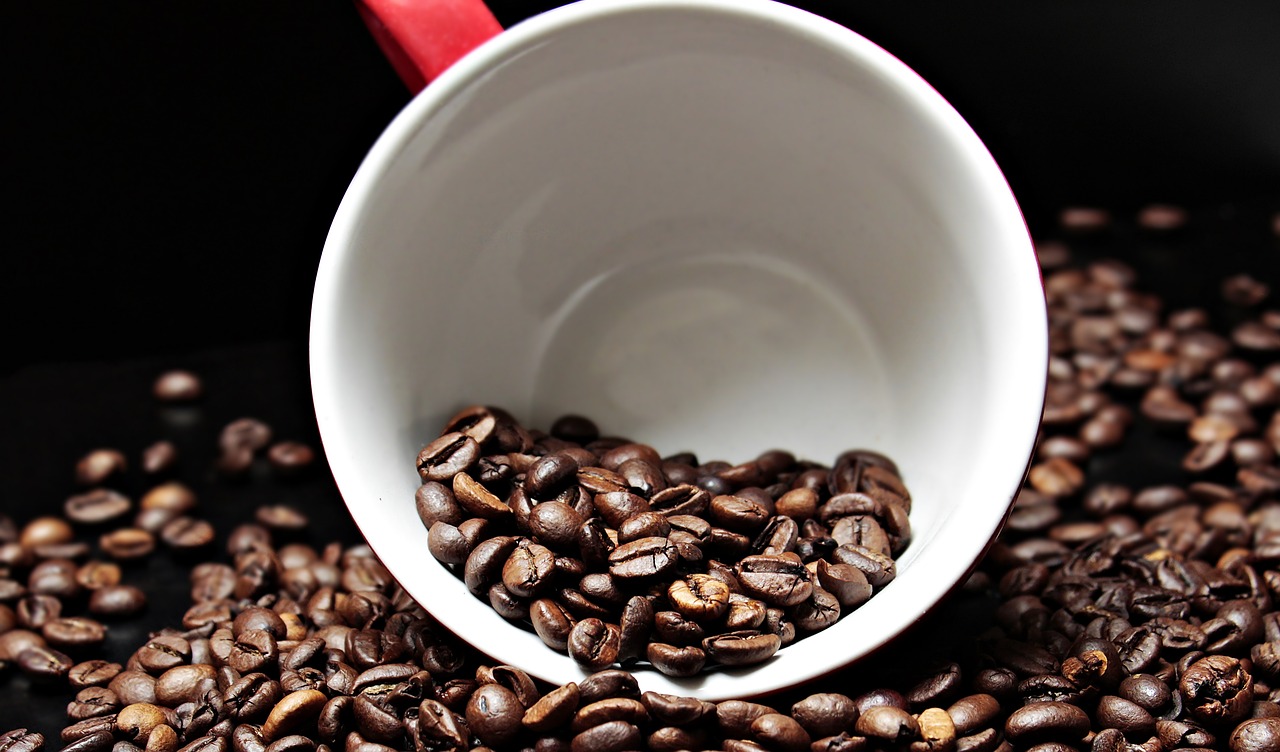 coffee beans coffee cup cup free photo