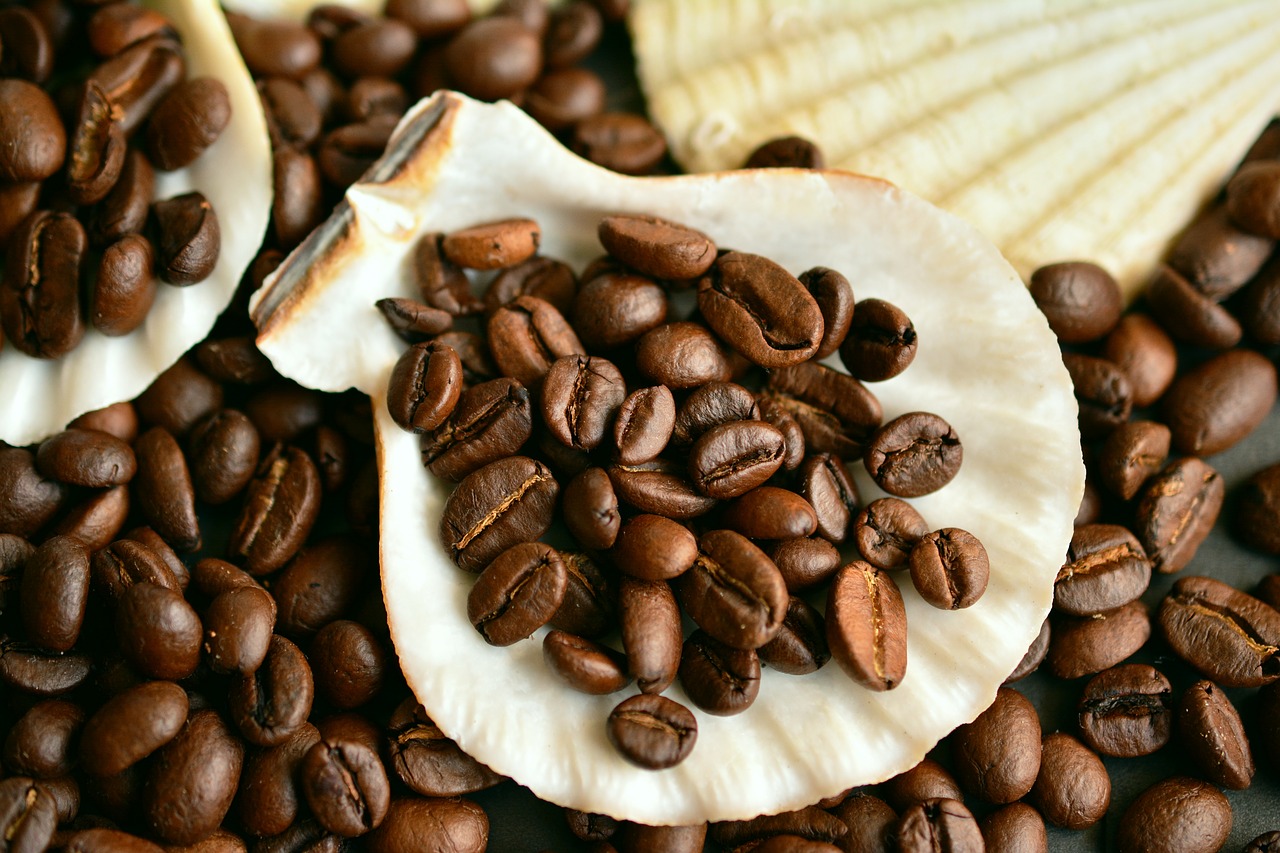 coffee beans coffee beans free photo