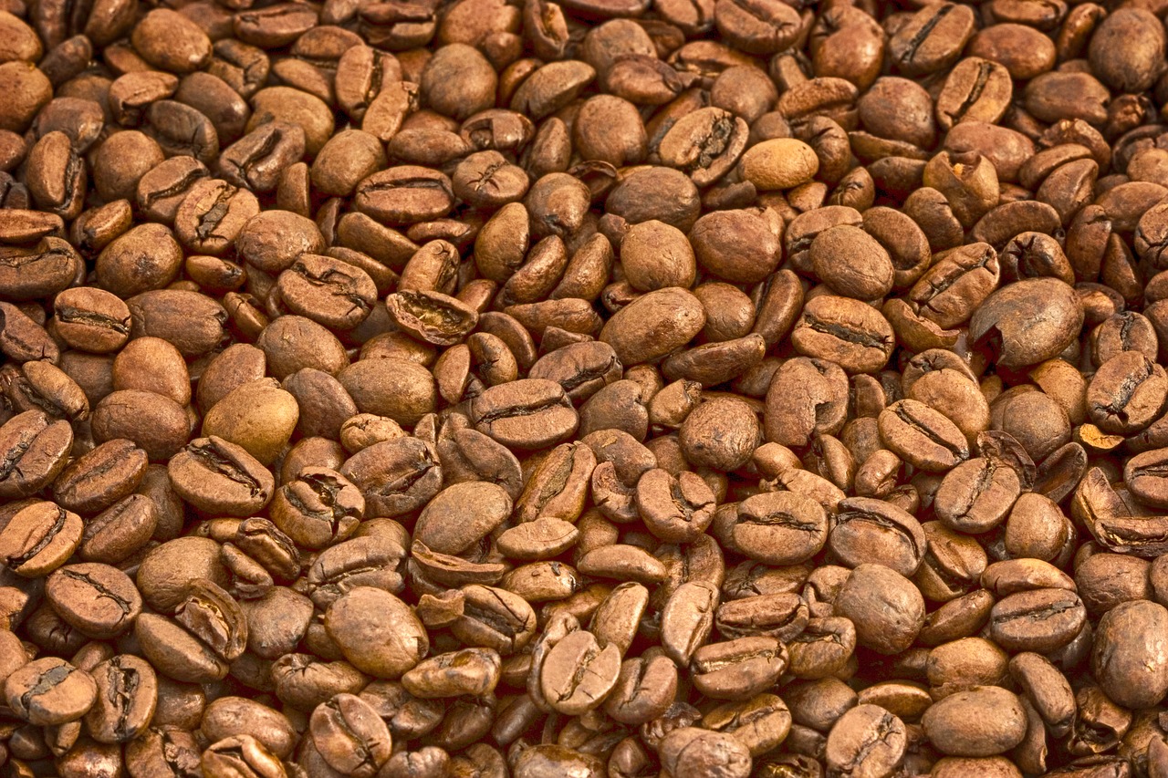 coffee beans beverage drink free photo