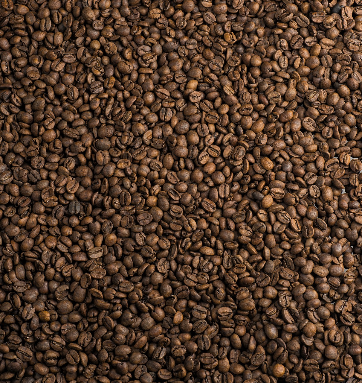 coffee beans coffee bean texture of coffee free photo