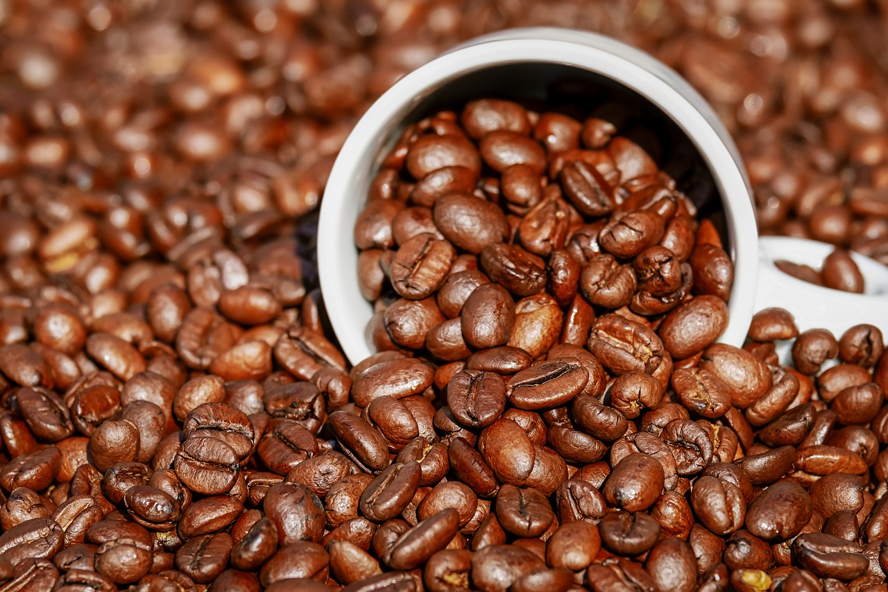 coffee beans  coffee cup  cup free photo