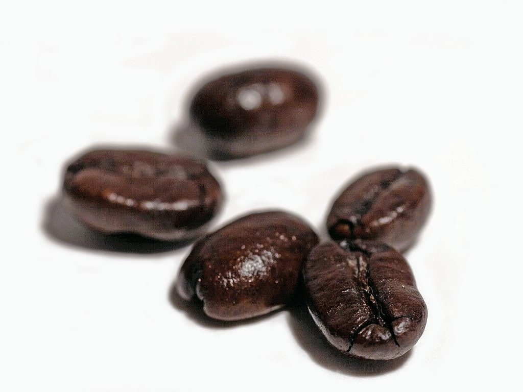 coffee beans coffee aroma free photo