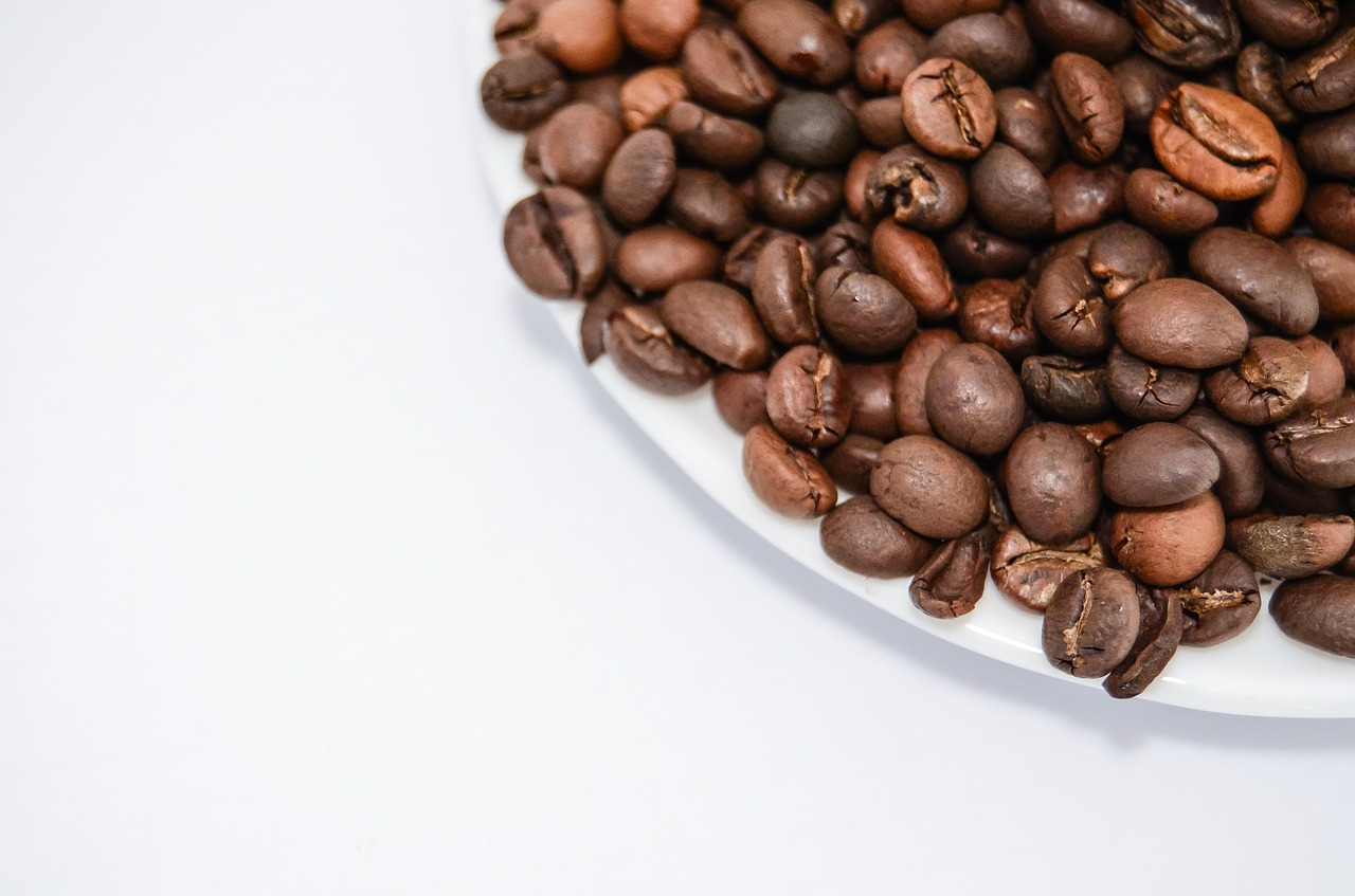 coffee beans coffee the drink free photo